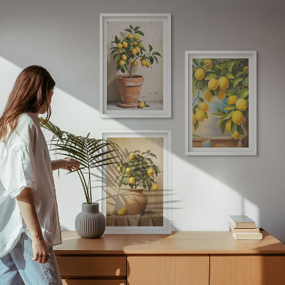 Conjunto de 3 quadros com moldura Limoeiros num vaso e num arranjo de plantas