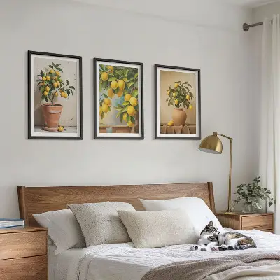 Conjunto de 3 quadros com moldura com limoeiros num vaso e arranjo de plantas