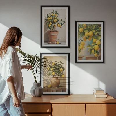 Conjunto de 3 quadros com moldura Limoeiros num vaso e num arranjo de plantas
