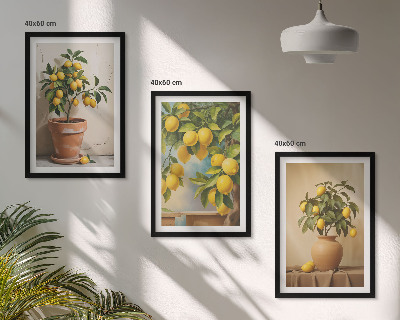 Conjunto de 3 quadros com moldura Limoeiros num vaso e num arranjo de plantas