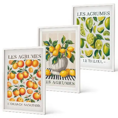 Conjunto de quadros para sala de estar com estampas de frutas cítricas coloridas