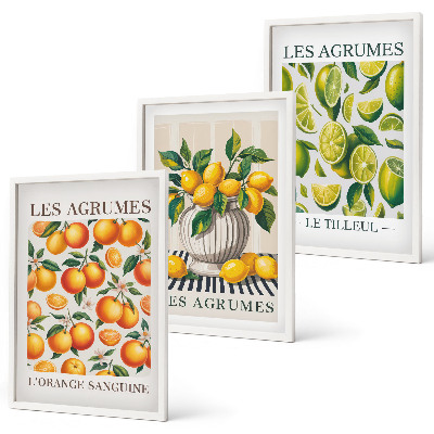 Conjunto de quadros para sala de estar Frutas cítricas em versões coloridas