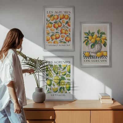 Conjunto de quadros para sala de estar Frutas cítricas em versões coloridas
