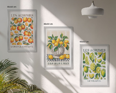 Conjunto de quadros para sala de estar Frutas cítricas em versões coloridas