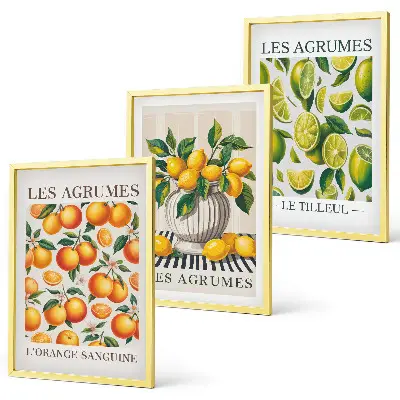 Conjunto de quadros para sala de estar com estampas de frutas cítricas coloridas