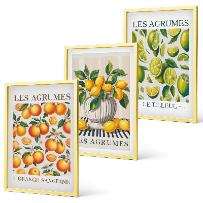 Conjunto de quadros para sala de estar Frutas cítricas em versões coloridas