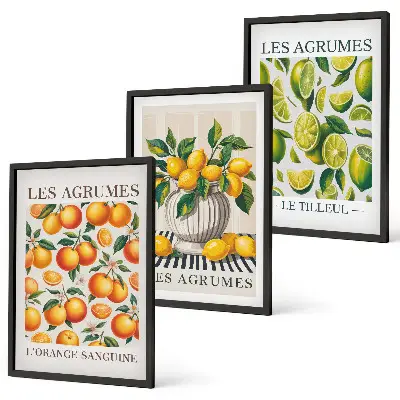 Conjunto de quadros para sala de estar com estampas de frutas cítricas coloridas