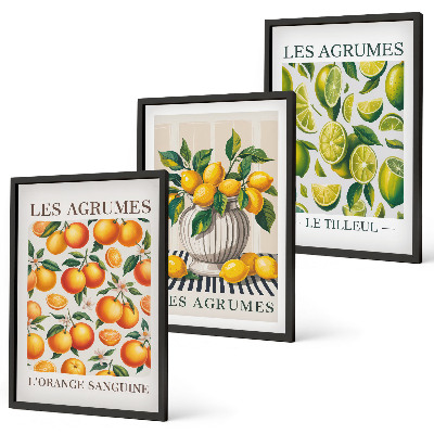 Conjunto de quadros para sala de estar Frutas cítricas em versões coloridas