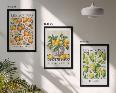 Conjunto de quadros para sala de estar Frutas cítricas em versões coloridas