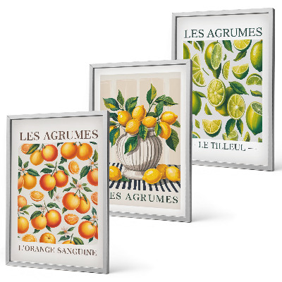 Conjunto de quadros para sala de estar Frutas cítricas em versões coloridas