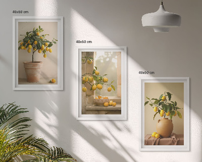 Composição de quadros moderna Limoeiros em vasos