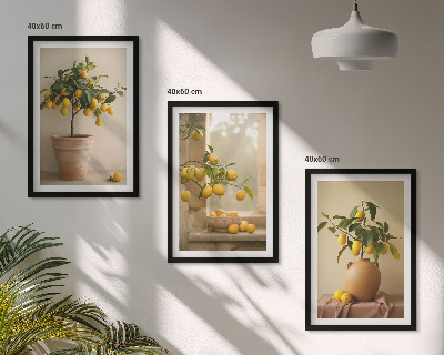 Composição de quadros moderna Limoeiros em vasos