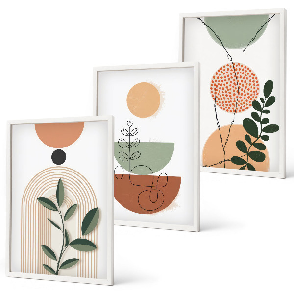 Conjunto de quadros para sala de estar Formas abstratas de plantas
