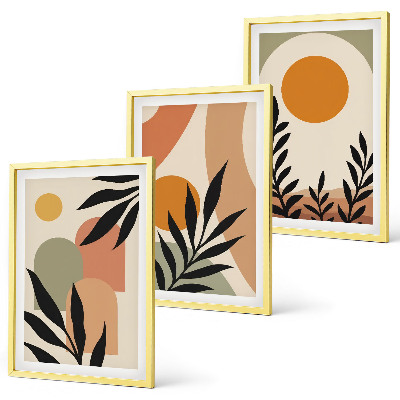 Conjunto de 3 quadros com moldura Formas abstratas de plantas