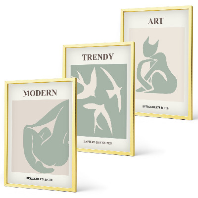 Conjunto de 3 quadros com moldura Figuras abstratas de Matisse