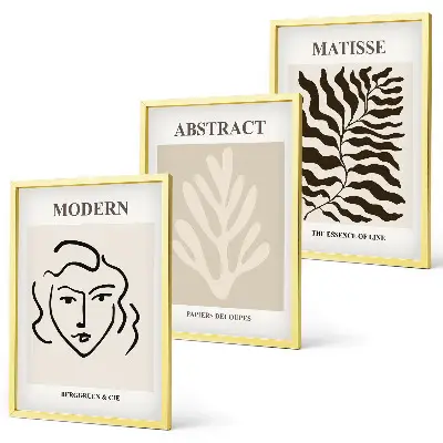 Conjunto de 3 quadros com moldura arte O Rosto de Matisse