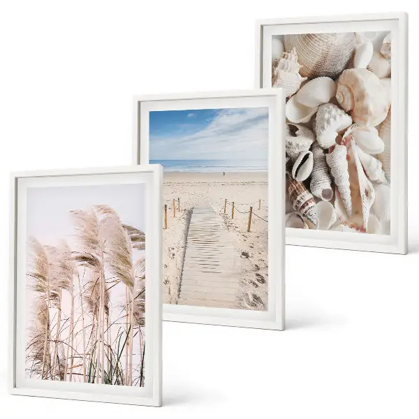 Composição de quadros moderna com conchas de praia e ervas marinhas