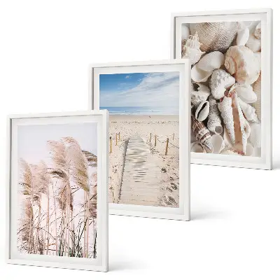 Composição de quadros moderna com conchas de praia e ervas marinhas