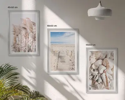Composição de quadros moderna com conchas de praia e ervas marinhas