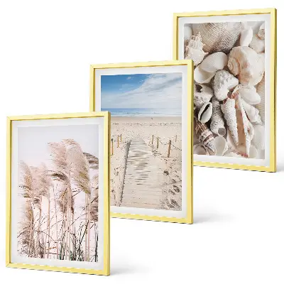 Composição de quadros moderna com conchas de praia e ervas marinhas