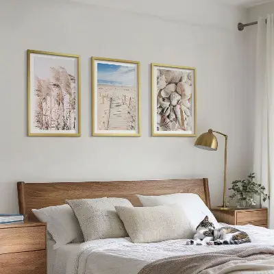 Composição de quadros moderna com conchas de praia e ervas marinhas