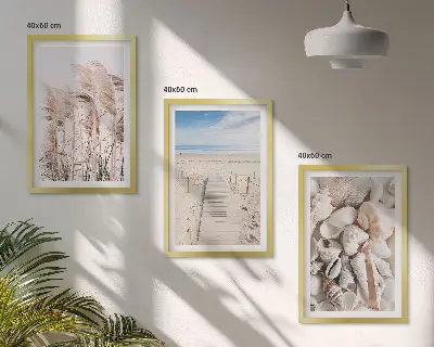 Composição de quadros moderna com conchas de praia e ervas marinhas