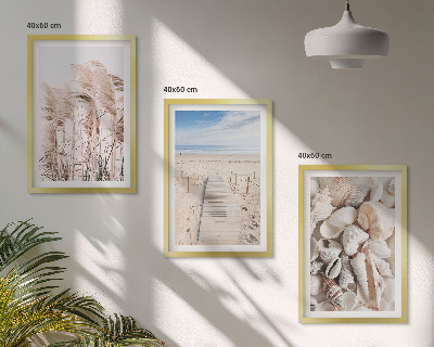 Composição de quadros moderna Conchas de praia, ervas marinhas
