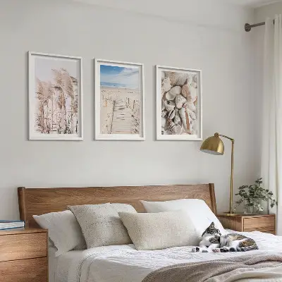Composição de quadros moderna com conchas de praia e ervas marinhas