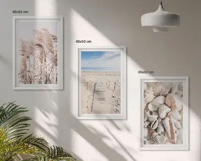 Composição de quadros moderna com conchas de praia e ervas marinhas