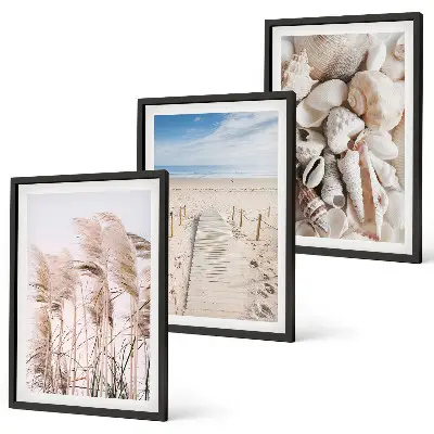 Composição de quadros moderna com conchas de praia e ervas marinhas