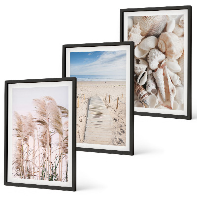 Composição de quadros moderna Conchas de praia, ervas marinhas