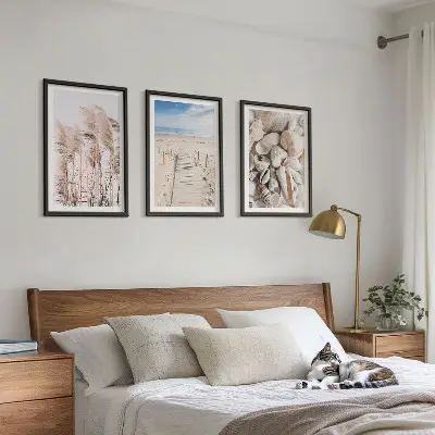 Composição de quadros moderna com conchas de praia e ervas marinhas