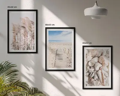 Composição de quadros moderna com conchas de praia e ervas marinhas