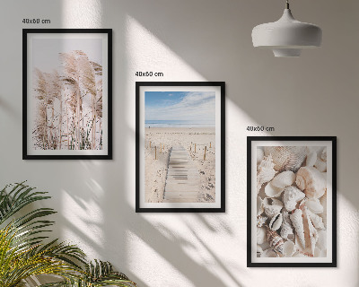 Composição de quadros moderna Conchas de praia, ervas marinhas