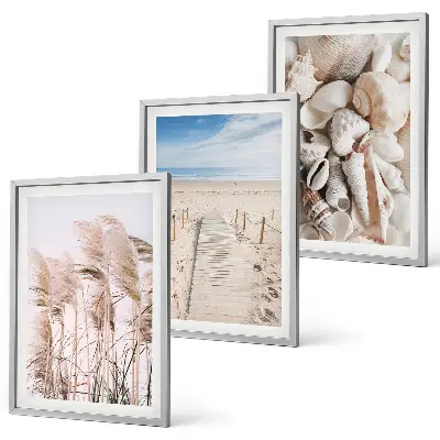 Composição de quadros moderna com conchas de praia e ervas marinhas