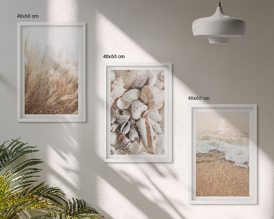 Conjunto de quadros para sala de estar Motivos de praia, conchas, ondas
