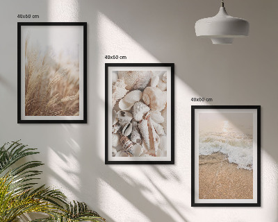 Conjunto de quadros para sala de estar Motivos de praia, conchas, ondas