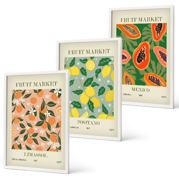 Conjunto de 3 quadros com moldura Frutas cítricas tropicais retrô