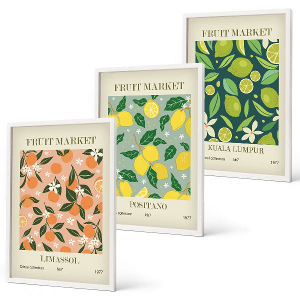 Conjunto de quadros para sala de estar padrões florais cítricos frutados