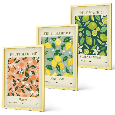 Conjunto de quadros para sala de estar padrões florais cítricos frutados