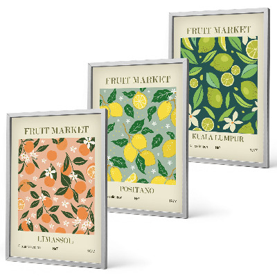Conjunto de quadros para sala de estar padrões florais cítricos frutados