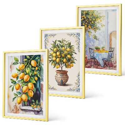 Conjunto de quadros para sala de estar Limoeiros frutos sol
