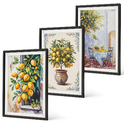 Conjunto de quadros para sala de estar Limoeiros frutos sol