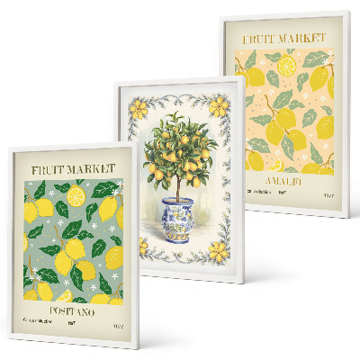 Composição de quadros moderna Frutas cítricas Itália