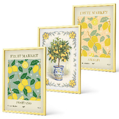 Composição de quadros moderna Frutas cítricas Itália