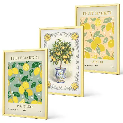 Conjunto de quadros decorativos modernos tema frutas cítricas da Itália