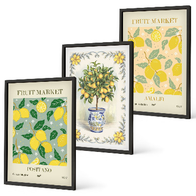 Composição de quadros moderna Frutas cítricas Itália