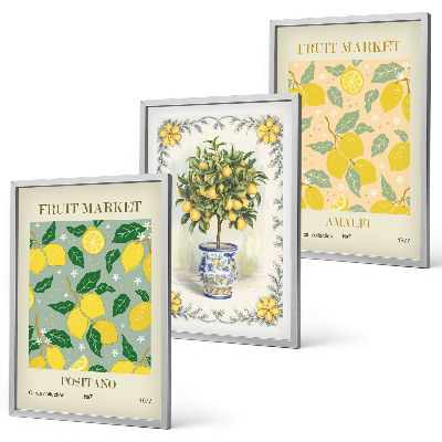 Composição de quadros moderna Frutas cítricas Itália