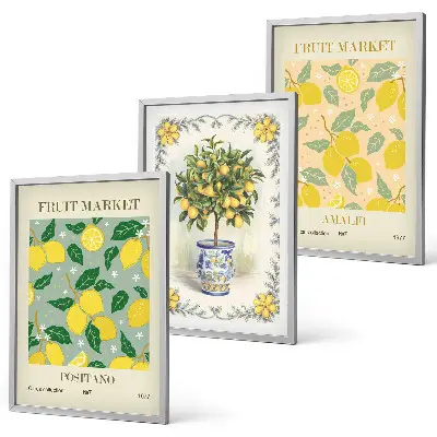 Conjunto de quadros decorativos modernos tema frutas cítricas da Itália