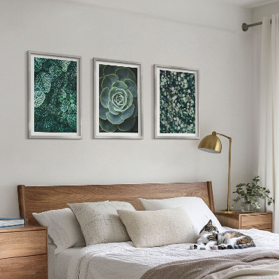 Conjunto de quadros para sala de estar Suculentas